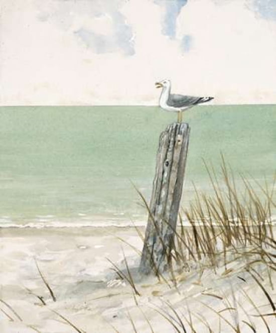 Seaside Perch Canvas Art - Arnie FISK (20 x 24)