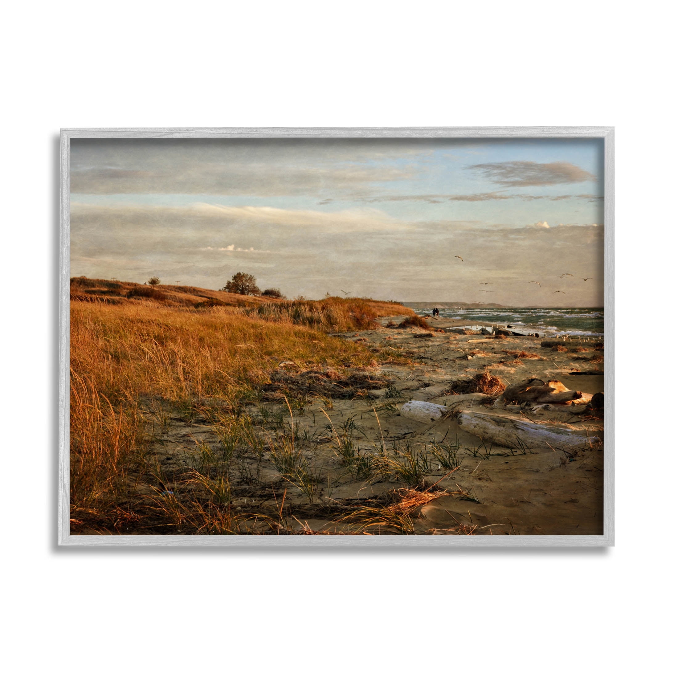 Gray Framed Coastal Landscape Canvas Print, 20" x 16"