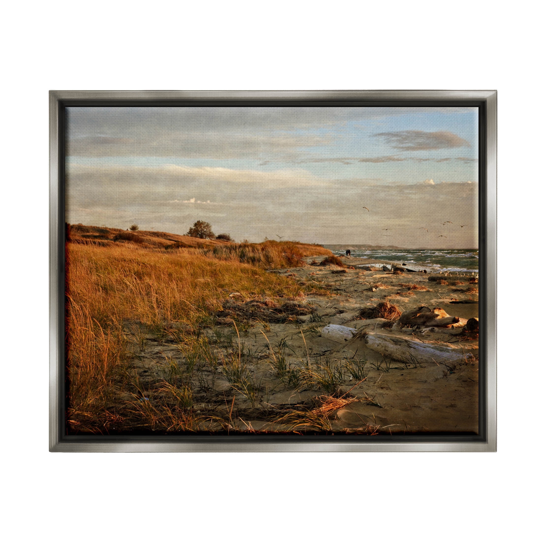 Seaside Reeds Coastal Scene Landscape Photograph Luster Gray Framed Art Print Wall Art