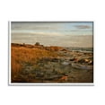 thumbnail image 1 of Seaside Reeds Coastal Scene Landscape Photograph White Framed Art Print Wall Art, 1 of 7