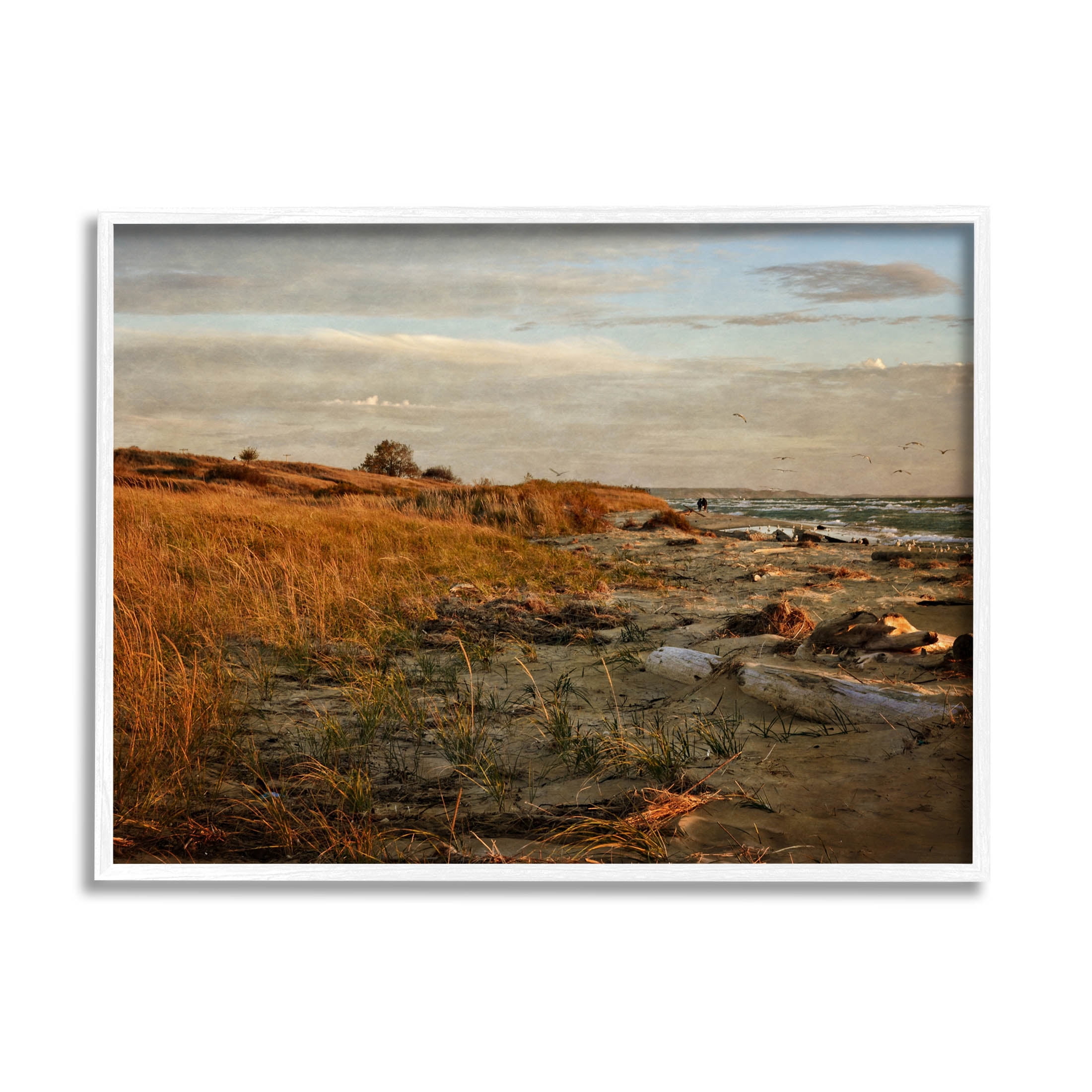Seaside Reeds Coastal Scene Landscape Photograph White Framed Art Print Wall Art