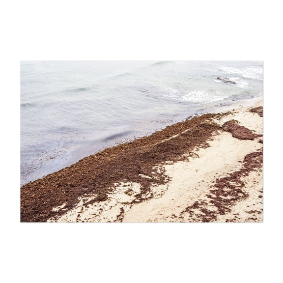 Seaside Serenity - Photography Beach Coastal Seaside Ocean Nature Waves Minimalist Unframed Wall Art Print 40 x 60 inches
