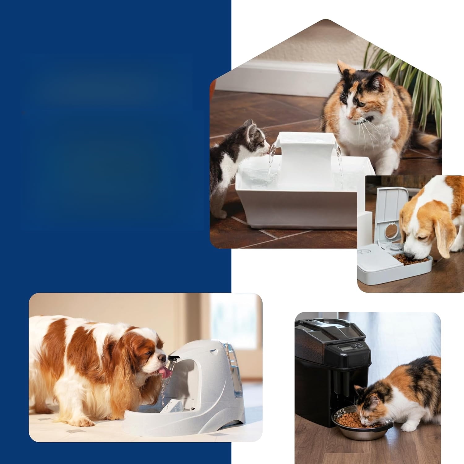 Seaside Stainless Steel Cat & Dog Fountain, 60 Oz Water Capacity - 2 Water Filters & 1 Pump Included, Soothing Flow for Pets, Scratch-and Rust-Resistant Material - Quiet Motor