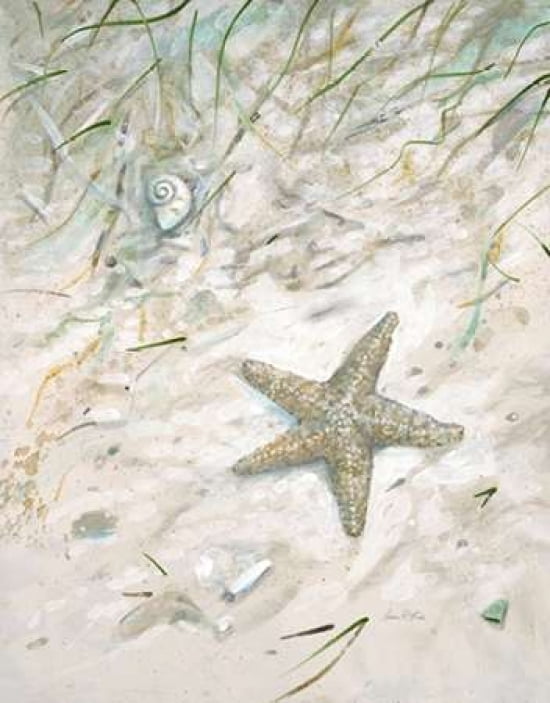 Seaside Starfish Canvas Art - Arnie FISK (24 x 30)