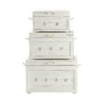 thumbnail image 1 of Seaside White Shell Set Of 3 Trunks, 1 of 5