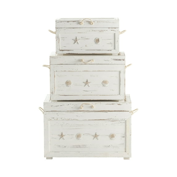 Seaside White Shell Set Of 3 Trunks