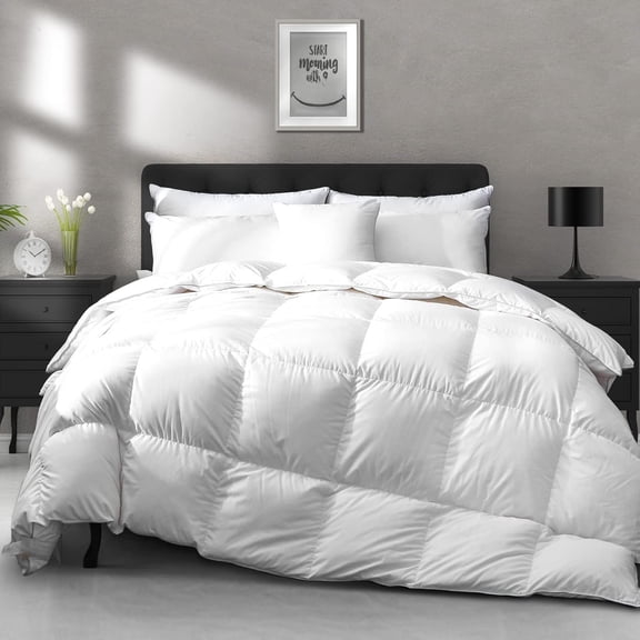 Season Down Fibers Comforter Size - -Soft High Fill-Power Hotel Collection Duvet Insert, Cloud Fluffy Medium Warm Quilt Comforter(120x98, White)