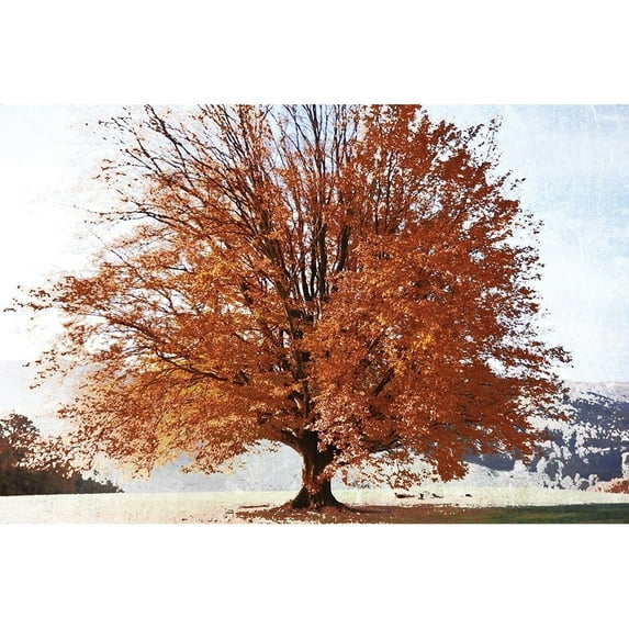 Season of Fall Poster Print by Irene Weisz