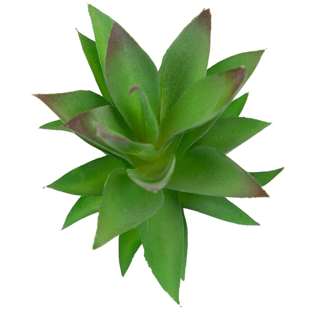 Season's Pack of 2 Artificial Succulents Unpotted Small Fake Plants