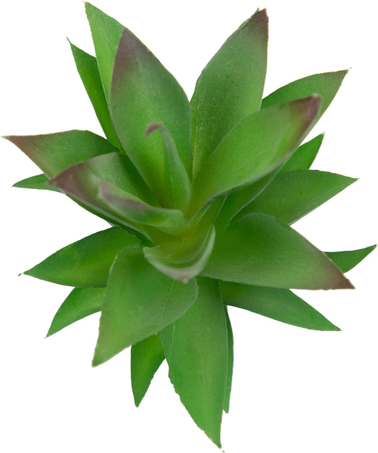 Season's Pack of 2 Artificial Succulents Unpotted Small Fake Plants