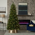 thumbnail image 1 of Seasonal LLC 7.5FT Canyon Ranch Fir Pre-Lit Artificial Christmas Tree with 400 Warm White LED Lights, 1 of 6
