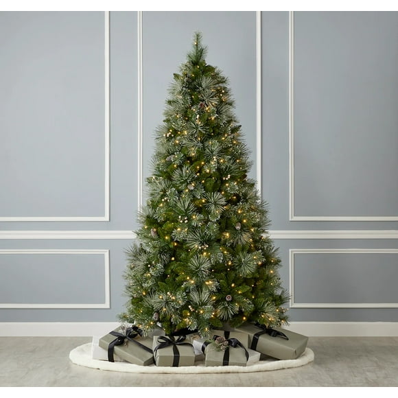 Mountain King Christmas Trees