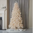 thumbnail image 1 of Seasonal LLC 7.5ft Pampas Tree (Unlit), 1 of 1