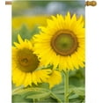 thumbnail image 1 of Seasonal Sunflowers Yellow Floral Flowers Summer Spring Nature Landscape House Flag 28 x 40 Inch, Double Sided Large Garden Yard Welcome Flags Banners for Home Lawn Patio Outdoor Decor, 1 of 2