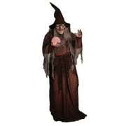 Seasonal Visions 68" Soothsayer Animated Witch with Digital Eyes Halloween Decoration