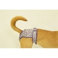 thumbnail image 1 of Seasonals 41116PRP Washable Female Dog Diaper, Purple - Extra Large, 1 of 1