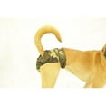 thumbnail image 1 of Seasonals 41110CMF Washable Female Dog Diaper, Camo - Small, 1 of 1