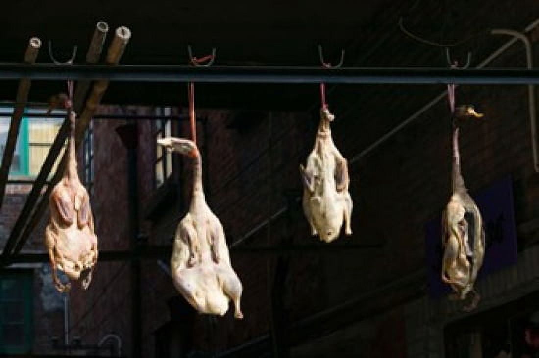 Seasoning Peking ducks hanging for sale at market stall Taikang Road Art Centre Shanghai French Concession Shanghai China Canvas Art - Panoramic Images (36 x 24)