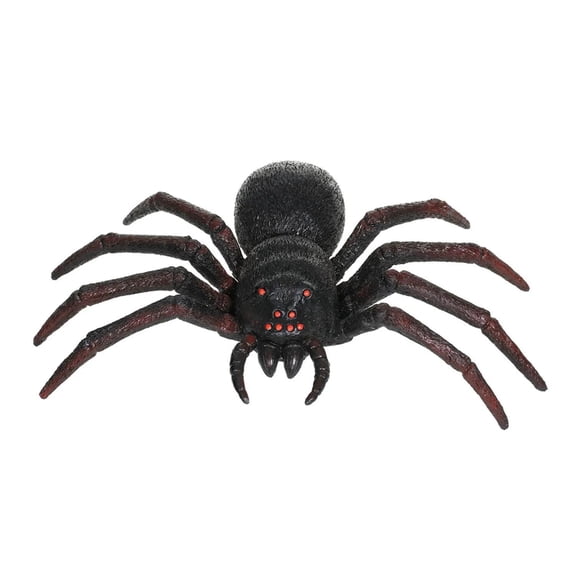 Seasons 20 in Black Plastic Spider Halloween Tabletop Decoration - Black