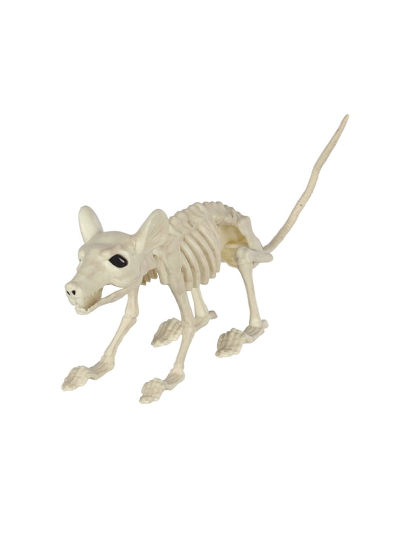 Faux Skeleton Rat Decoration, 7", Halloween by Way To Celebrate