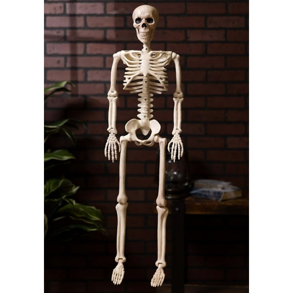 36" Posable Skeleton