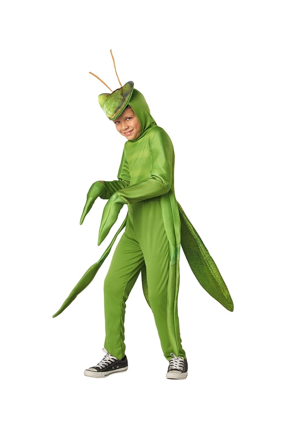 Child Praying Mantis Costume