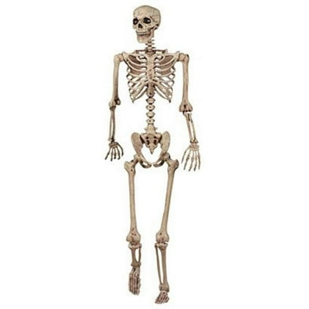 Seasons (Hk) Ltd 5' Pose N Stay Skeleton