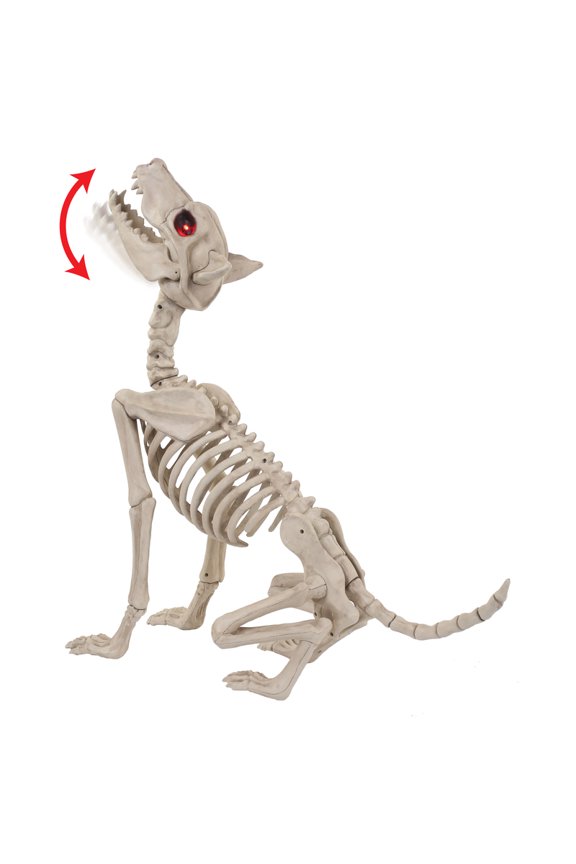 Red 27.5 in. Prelit Animated Wolf Skeleton Halloween Decor