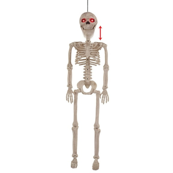 ANIMATED SKELETON 36"" (Pack of 1)