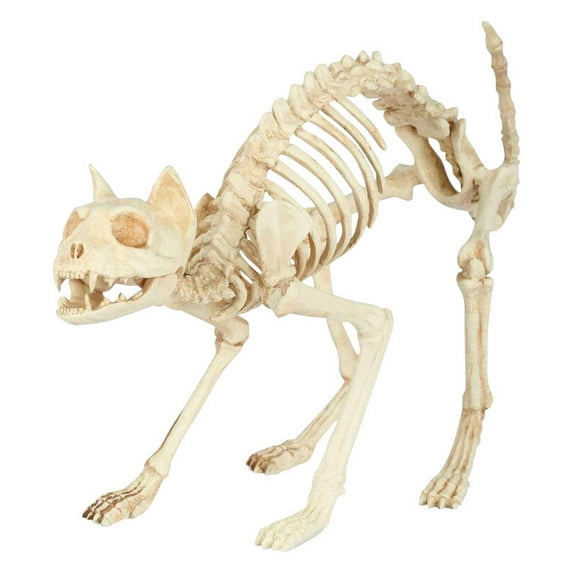 Seasons Skeleton Cat Halloween Decoration White