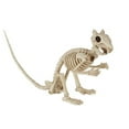 thumbnail image 1 of Seasons Skeleton Squirrel 3.5 x 15 x 5.5 Inch - Bone Color, 1 of 2