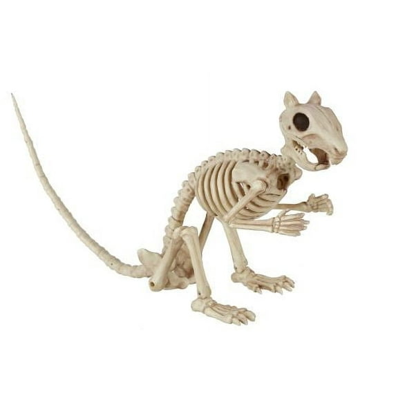 Seasons Skeleton Squirrel 3.5 x 15 x 5.5 Inch - Bone Color