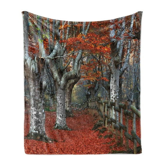 Seasons Soft Flannel Fleece Throw Blanket, Dreamy Gated Beech Trees Forest with Fall Leaf Mother Earth Natural Wonders Theme, Cozy Plush for Indoor and Outdoor Use, 70" x 90", Grey Red, by Ambesonne