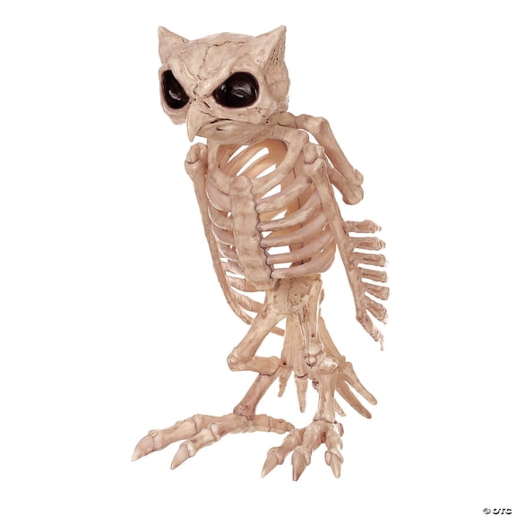 Seasons USA Owl Skeleton Halloween Decoration - 13.5 in