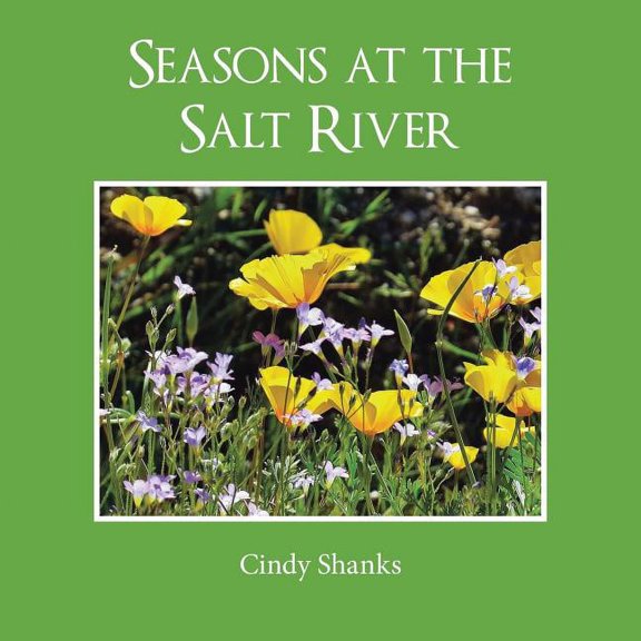 Seasons at the Salt River (Paperback)