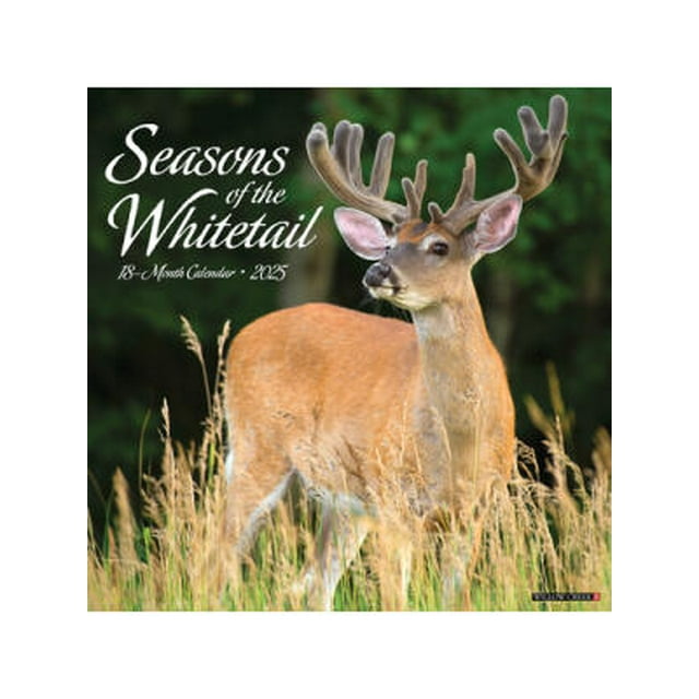 Seasons of the Whitetail 2025 12 X 12 Wall Calendar