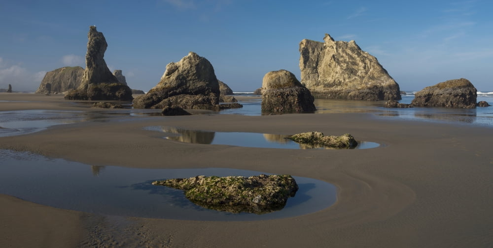 Seastacks at low tide Bandon Coos County Oregon USA Canvas Art - Panoramic Images (12 x 24)
