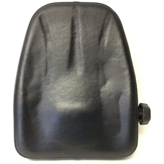 Seat Back with Lumbar Support REX2BDX Works W Life Fitness R3-5 R35 Recumbent Bike