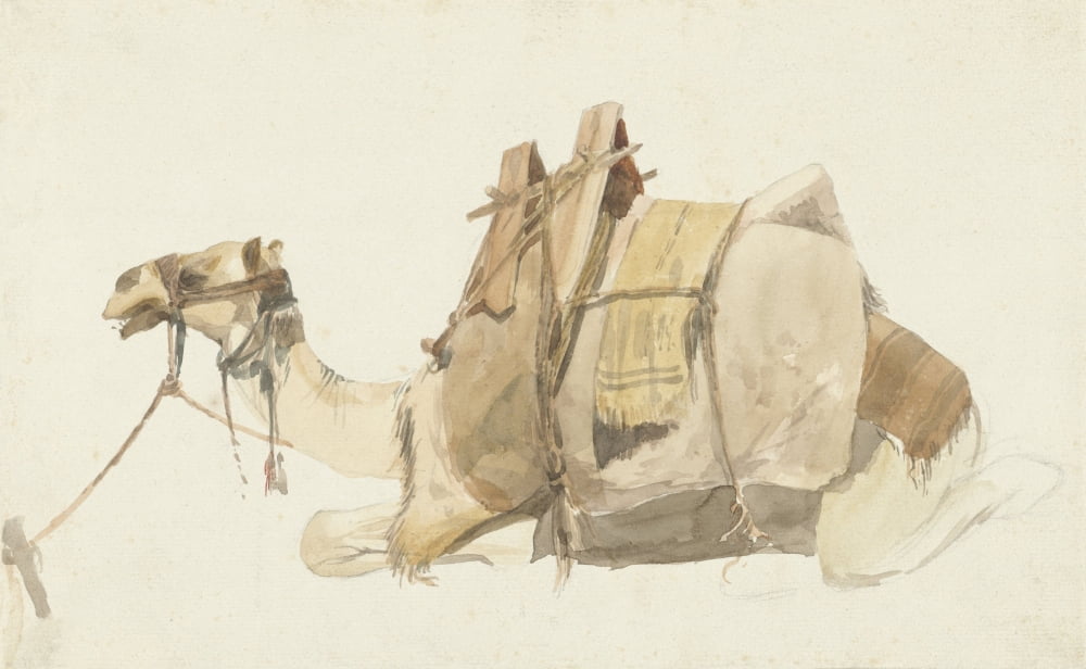 Seated Laden Camel Canvas Art - (36 x 24)