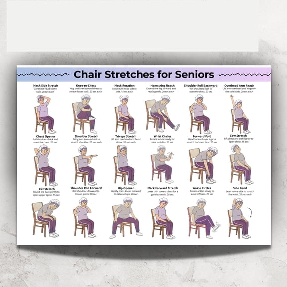 Seated Stretching Chart for Seniors - Chair Exercise Poster, Neck Back Shoulders Legs poster