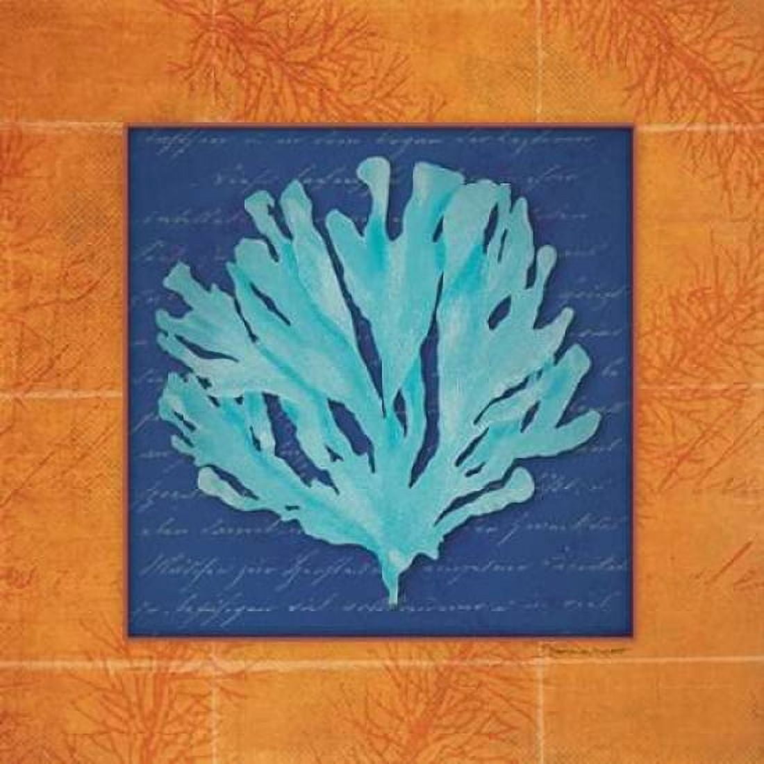 Seaweed Canvas Art - Stephanie Marrott (24 x 24)