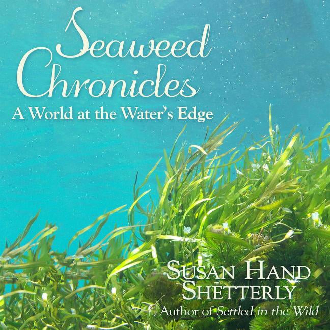 Seaweed Chronicles: A World at the Water�s Edge (Audiobook)