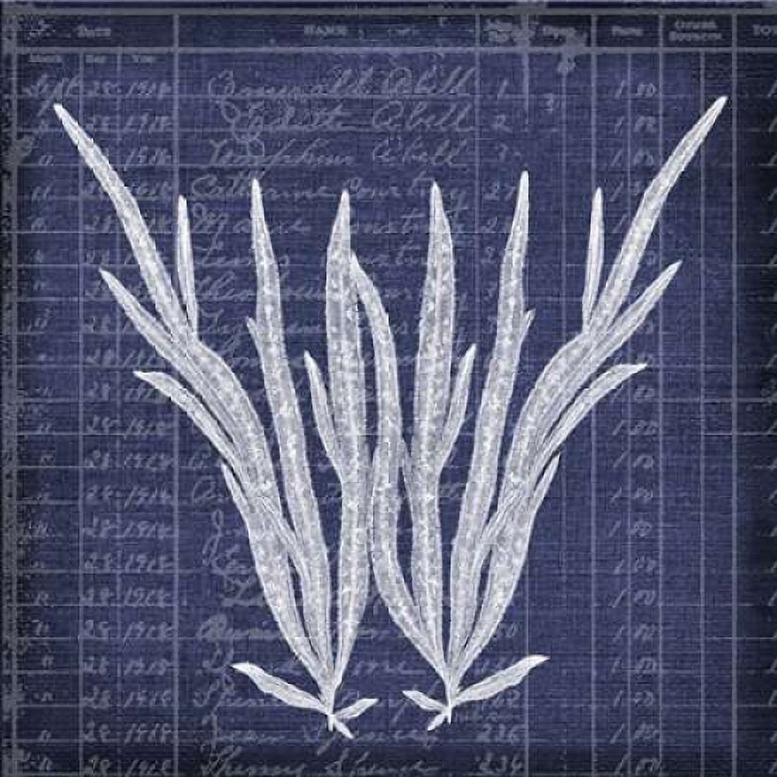 Seaweed Document 1 Canvas Art - Walter Robertson (24 x 24)