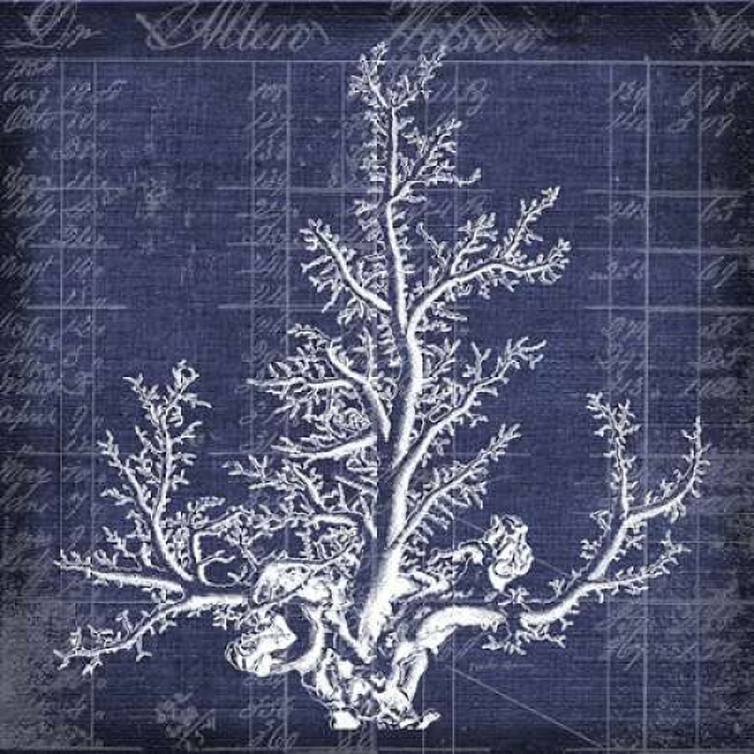 Seaweed Document 2 Canvas Art - Walter Robertson (24 x 24)