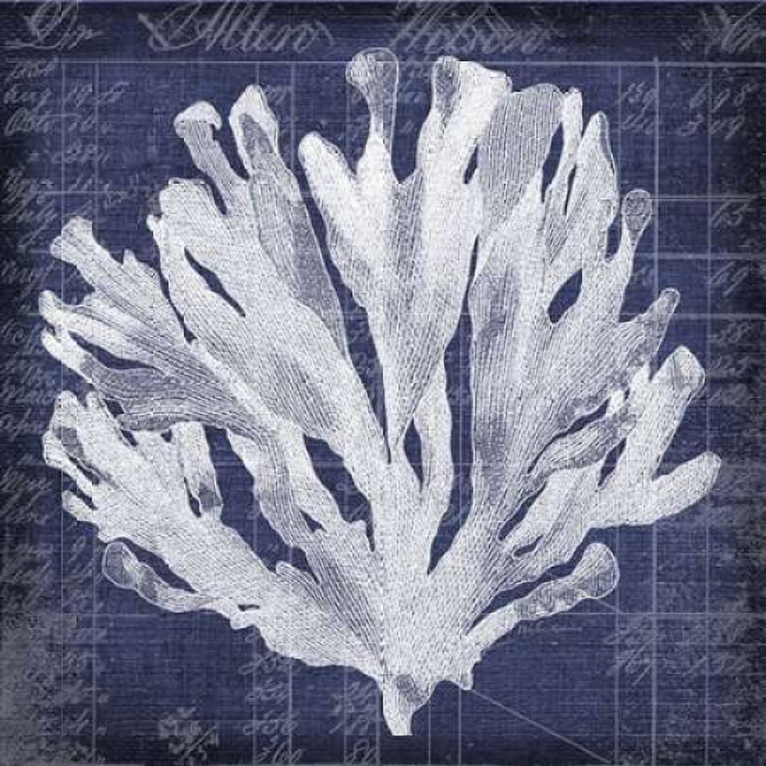 Seaweed Document 3 Canvas Art - Walter Robertson (24 x 24)