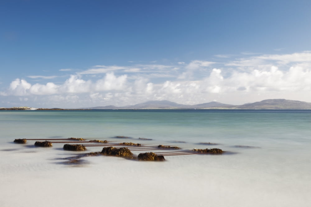 Seaweed On The Shore On Eilogarry Beach Isle Of Barra Scotland Canvas Art - John Short Design Pics (38 x 24)