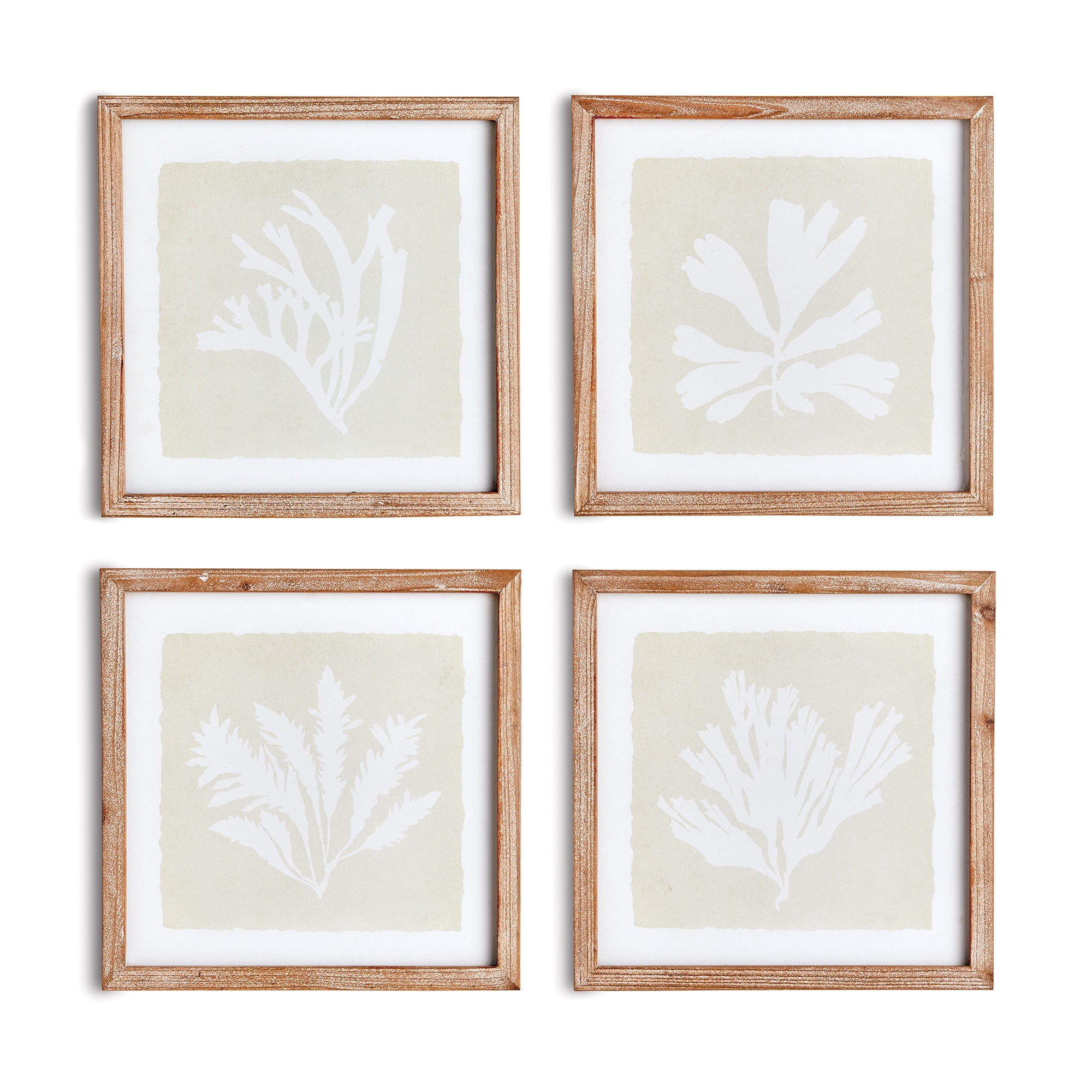 Set of 4 Coastal Seaweed Silhouette Prints with Wood Frames