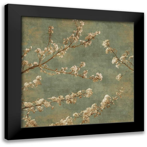 Seba, John 12x12 Black Modern Framed Museum Art Print Titled - Morning Blossom II