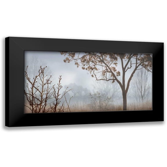 Seba, John 14x9 Black Modern Framed Museum Art Print Titled - Early Morning Mist I