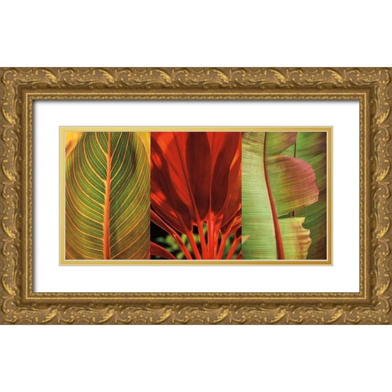 Seba, John 14x9 Gold Ornate Wood Framed with Double Matting Museum Art Print Titled - Tropical Treasure I